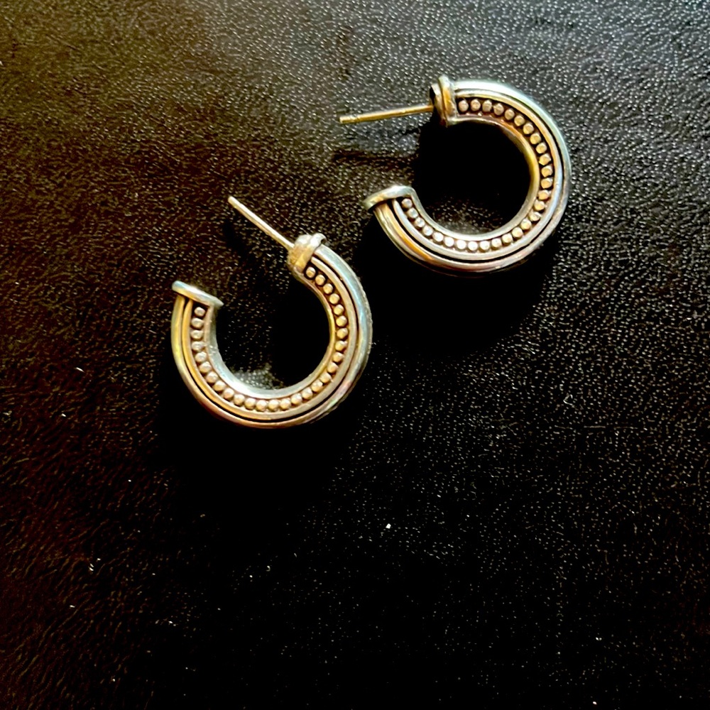 Beautiful silver hoop earrings